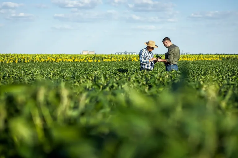 Two farmers in a field examining soy crop 2025 01 30 05 38 03 utc Custom